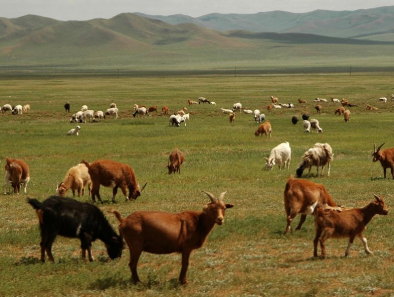 Нийт нутгийн 46 хувьд гантай болон гандуу байна