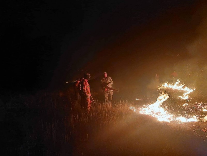 Ой, хээрийн түймрээс урьдчилан сэргийлэхийг зөвлөж байна