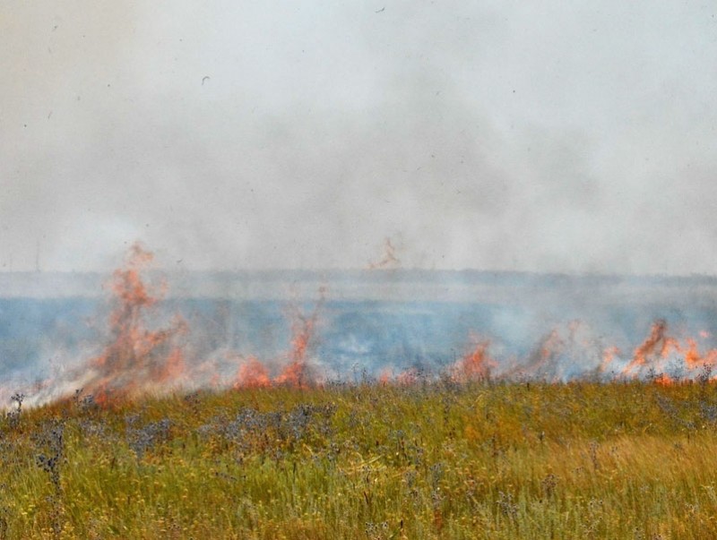 Дорнод аймагт гарсан хээрийн гал түймрийг бүрэн унтраалаа
